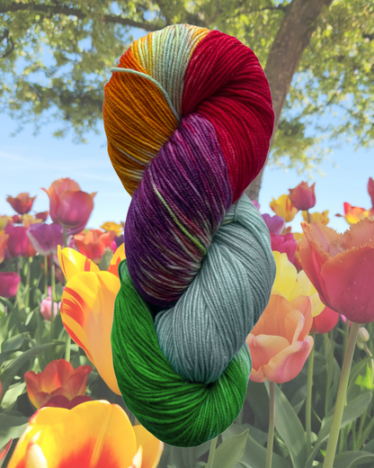 Multicolor blue, yellow, green, purple, and pink skein of merino and nylon yarn in front of a background of tulips in Ottawa.
