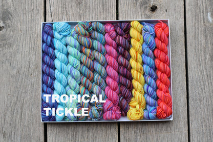 Koigu Pencil Box - Fingering
