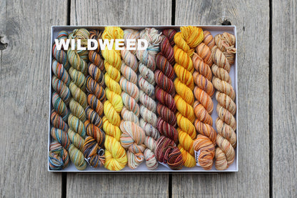 Koigu Pencil Box - Fingering