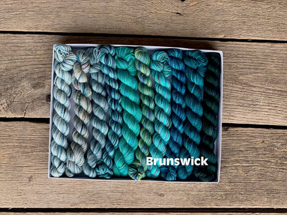 Koigu Pencil Box - Fingering