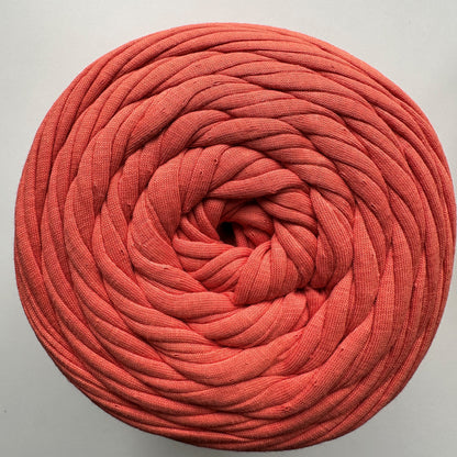 Spaghetti T-Shirt Yarn