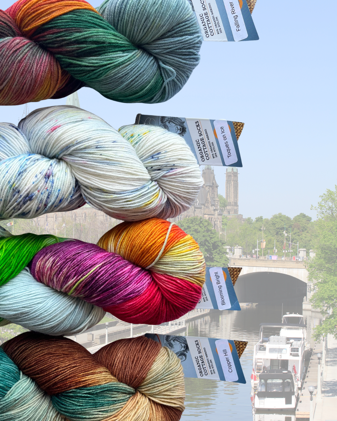 Colorful yarn skeins with labels against a blurred cityscape of Ottawa as the background