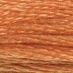 DMC Embroidery Floss - Colours 605 - 734