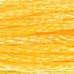 DMC Embroidery Floss - Colours 738 - 813