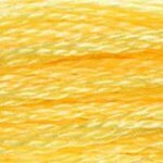 DMC Embroidery Floss - Colours 738 - 813