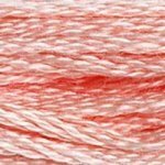 DMC Embroidery Floss - Colours 738 - 813