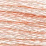 DMC Embroidery Floss - Colours 906 - 959