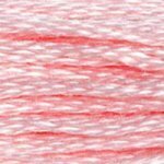 DMC Embroidery Floss - Colours 961 - 3053