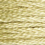 DMC Embroidery Floss - Colours 961 - 3053