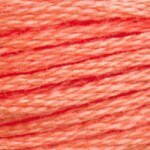 DMC Embroidery Floss - Colours 3064 - 3746