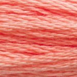 DMC Embroidery Floss - Colours 3064 - 3746