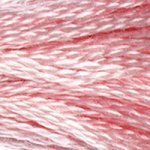 DMC Embroidery Floss - Colours 3064 - 3746