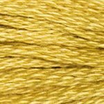 DMC Embroidery Floss - Colours 3816 - 3866