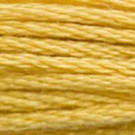 DMC Embroidery Floss - Colours 3816 - 3866