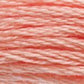 DMC Embroidery Floss - Colours 3816 - 3866