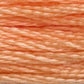 DMC Embroidery Floss - Colours 3816 - 3866