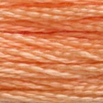 DMC Embroidery Floss - Colours 3816 - 3866