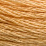 DMC Embroidery Floss - Colours 3816 - 3866