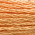 DMC Embroidery Floss - Colours 3816 - 3866