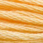 DMC Embroidery Floss - Colours 3816 - 3866