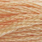 DMC Embroidery Floss - Colours 3816 - 3866