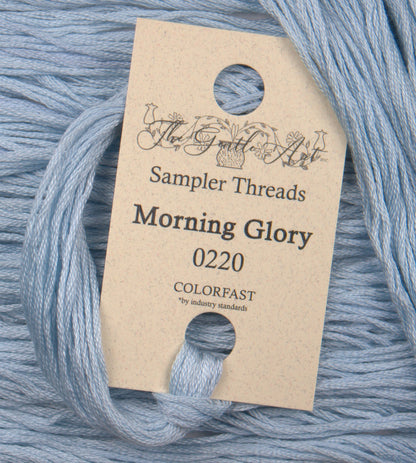 Morning Glory 0220
