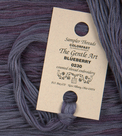 Blueberry 0230