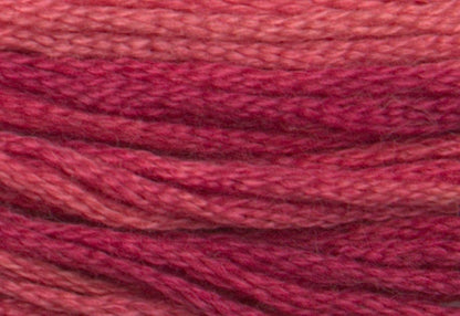 Raspberry Parfait 0380