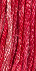 Hibiscus 0780
