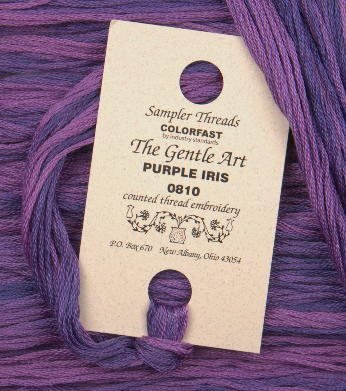 Purple Iris 0810