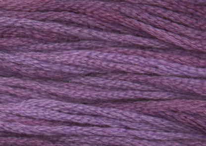 Hyacinth 0850