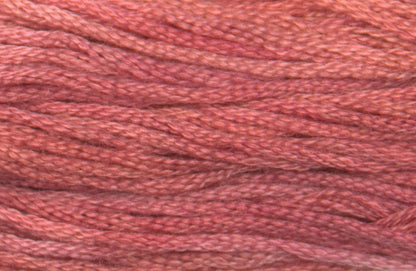 Antique Rose 7014