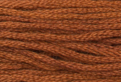 Sarsaparilla 7015