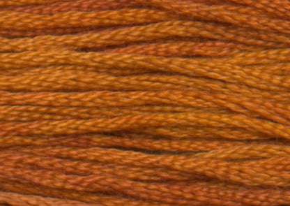 Pumpkin Pie 7059