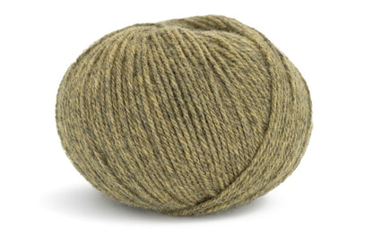 70M Fern