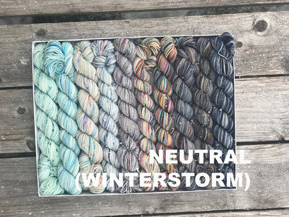 Koigu Pencil Box - Fingering