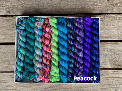 Koigu Pencil Box - Fingering