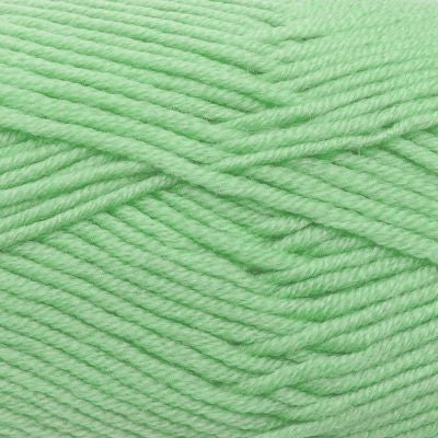 A skein of Estelle Superwash Merino DK  wool yarn in Mint green colour.
