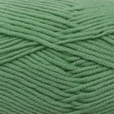 A skein of Estelle Superwash Merino DK  wool yarn in Herb green colour.