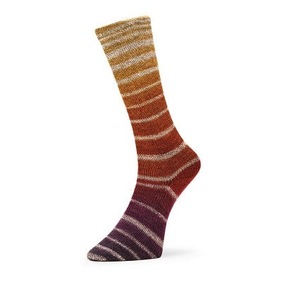 Evolution Aurora Socks