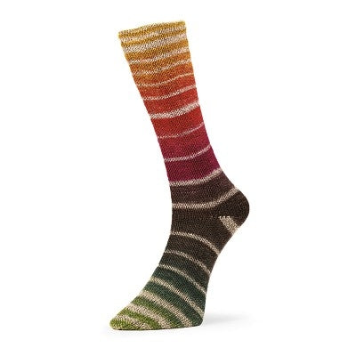 Evolution Aurora Socks