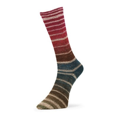 Evolution Aurora Socks