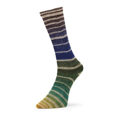 Evolution Aurora Socks