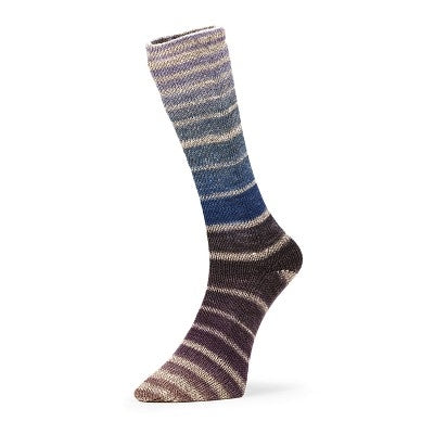 Evolution Aurora Socks