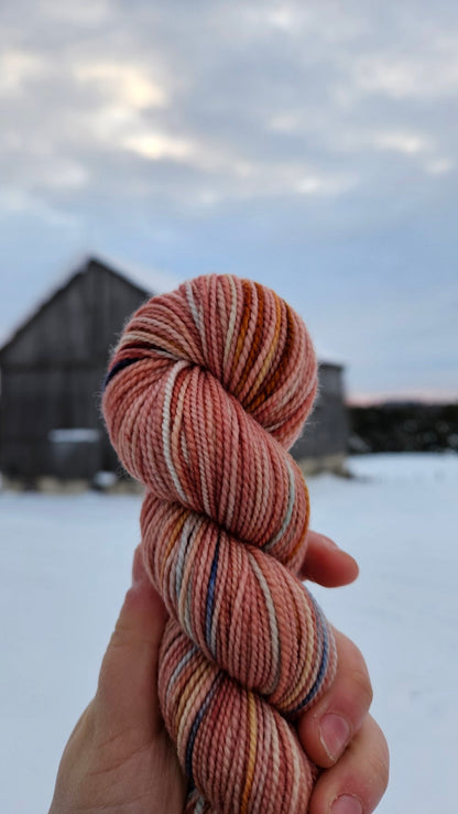 Koigu Collector Club Limited Editions
