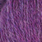 Queensland Shetland Lite