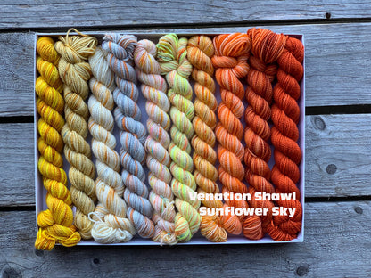 Koigu Pencil Box - Fingering