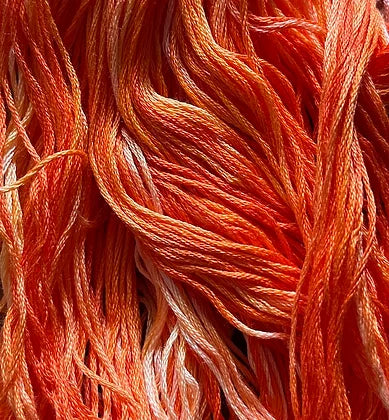 Habanero 0592