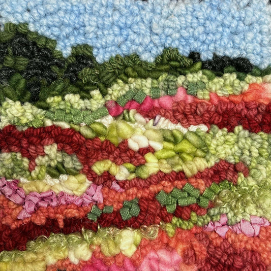 Deanne Fitzpatrick Studio Rug Hooking Kit
