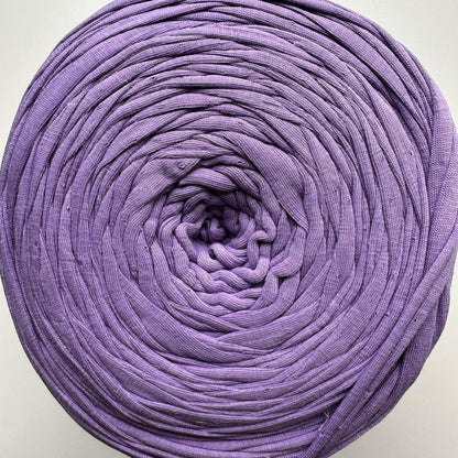 Spaghetti T-Shirt Yarn